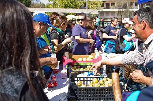 La huella solidaria de 600 senderistas